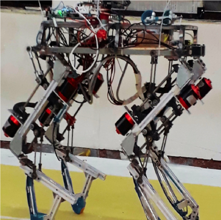 Quadruped Robot